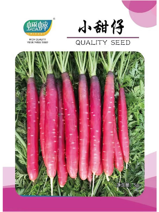 Purple-red Carrots