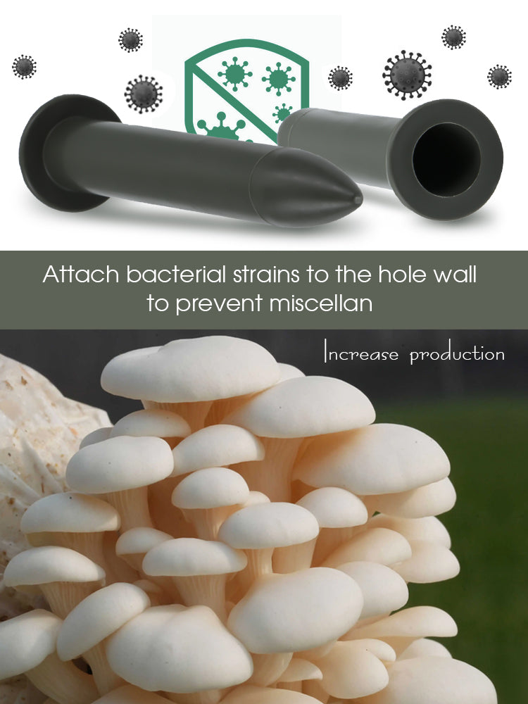 N268 Mushroom Inoculation Rods