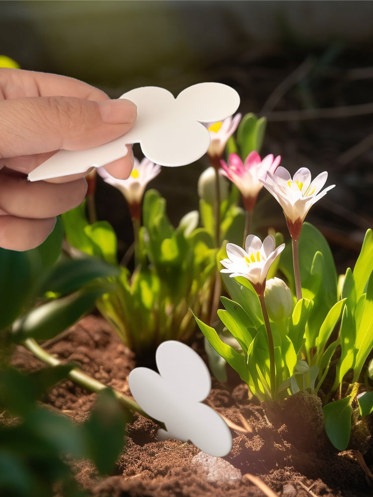 N317 Flower-shaped Plant Labels