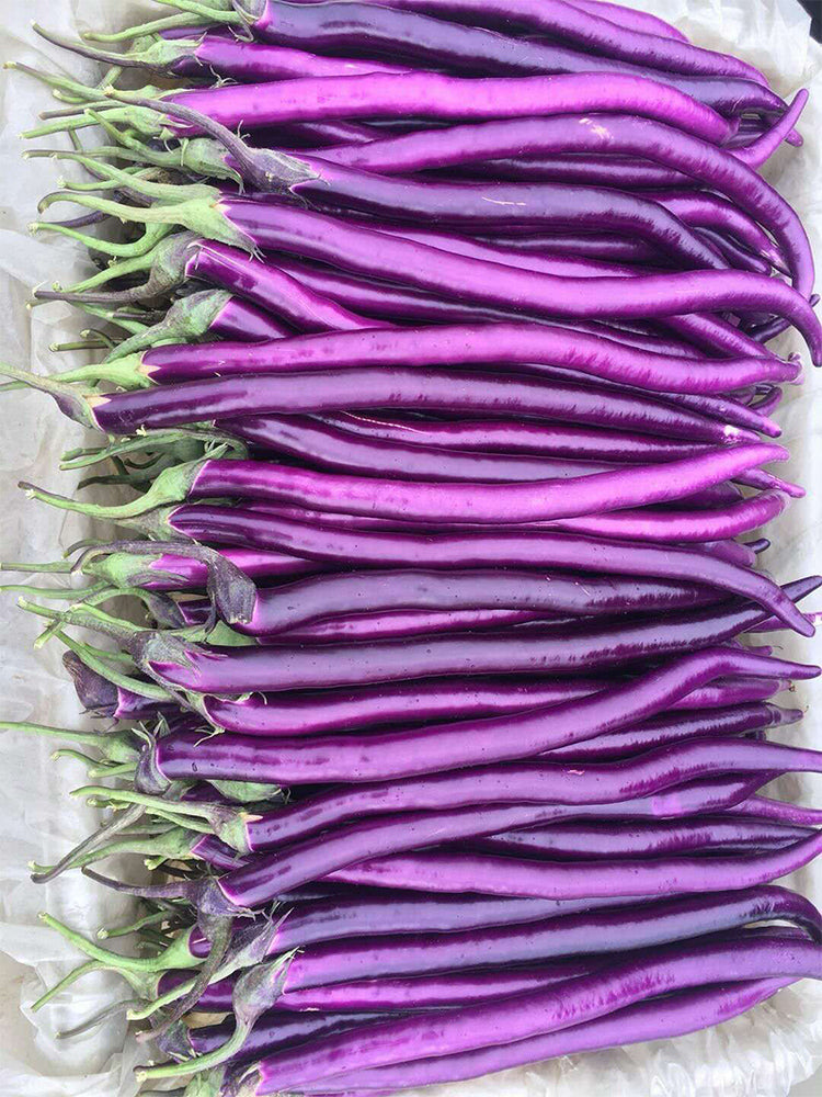 Hangzhou Red Eggplant