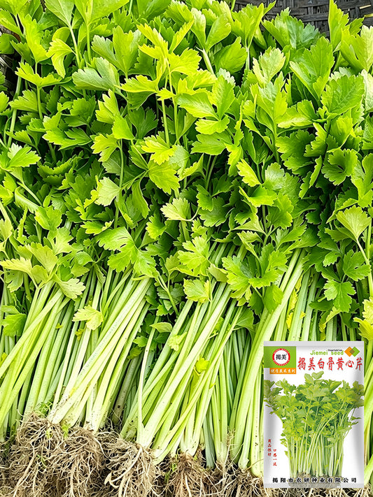 White Bone Yellow Heart Celery