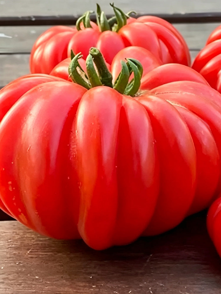 Mushroom Basket Tomato