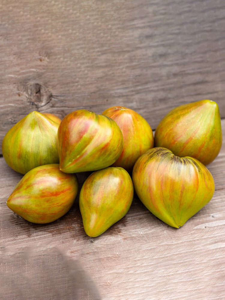 977 Malachite Elf Tomato