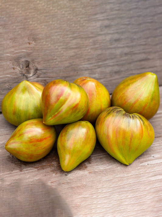977 Malachite Elf Tomato