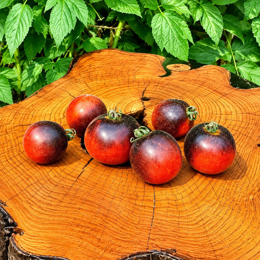 149 Woolly Kate Red Tomato