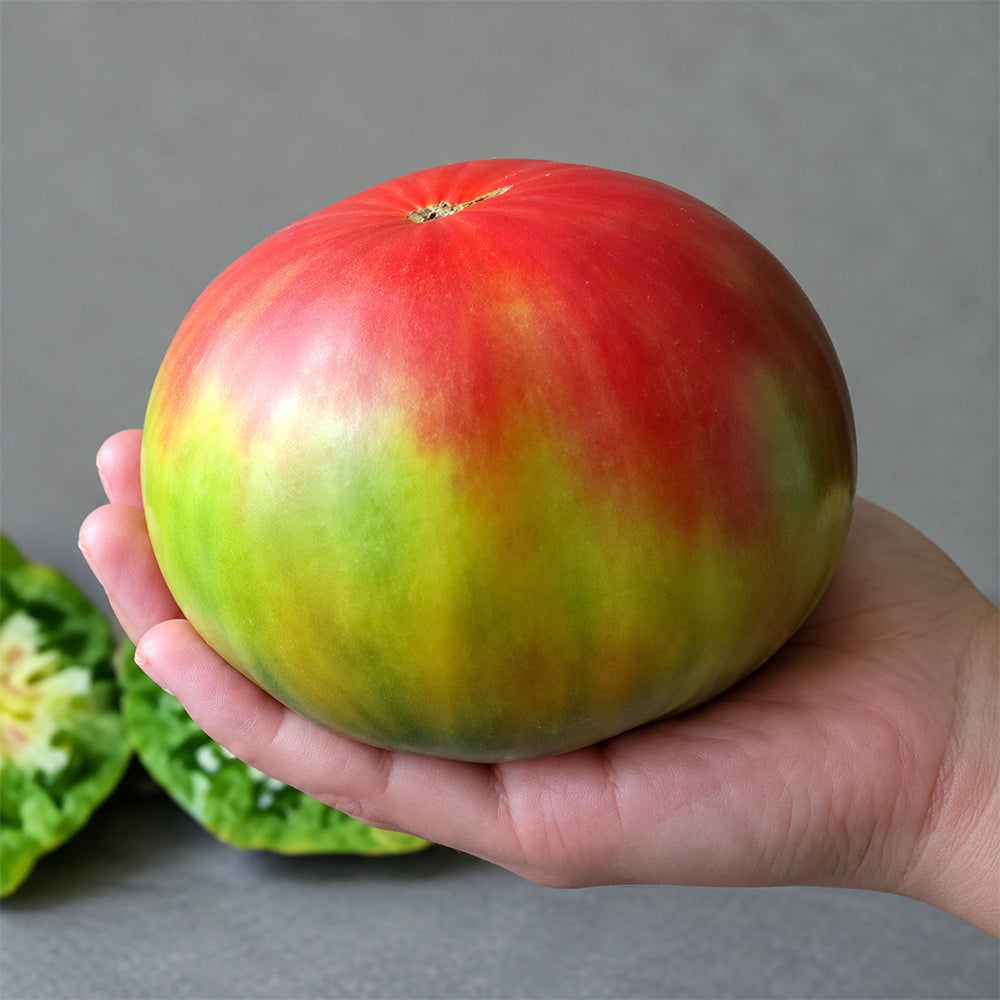 140 Copper River Tomato