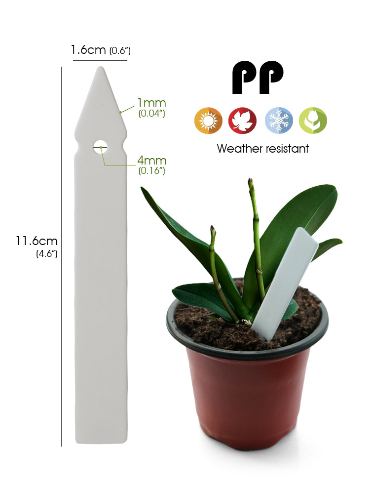 N313 Pointed Plant Labels