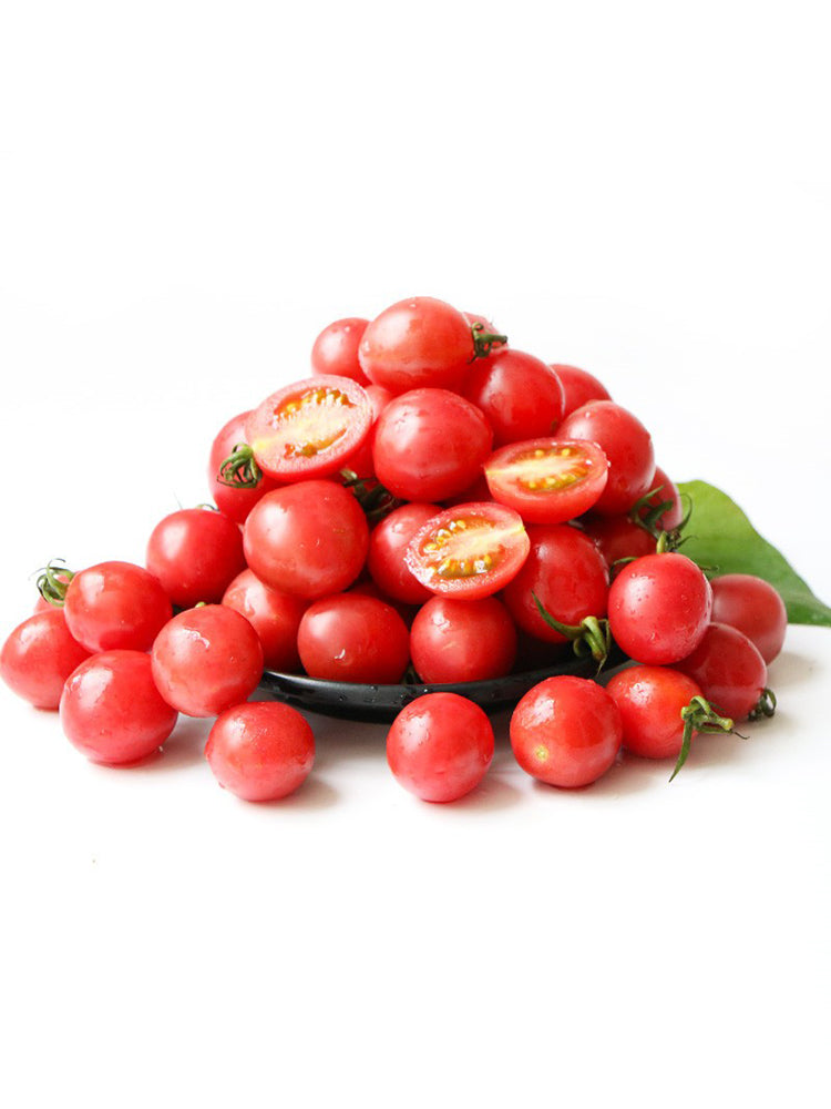 'Sweet Ruby Gem' Cherry Tomato