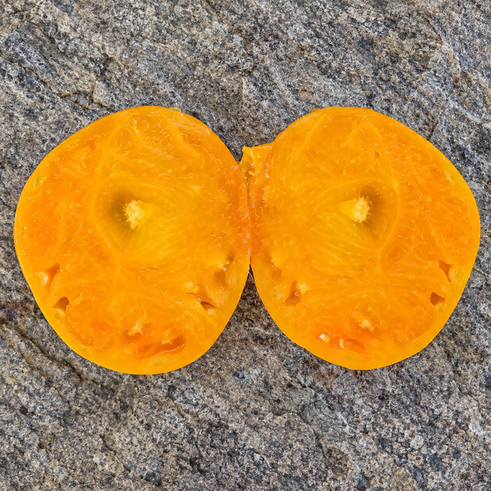 360 Rosalie's Early Orange Tomato