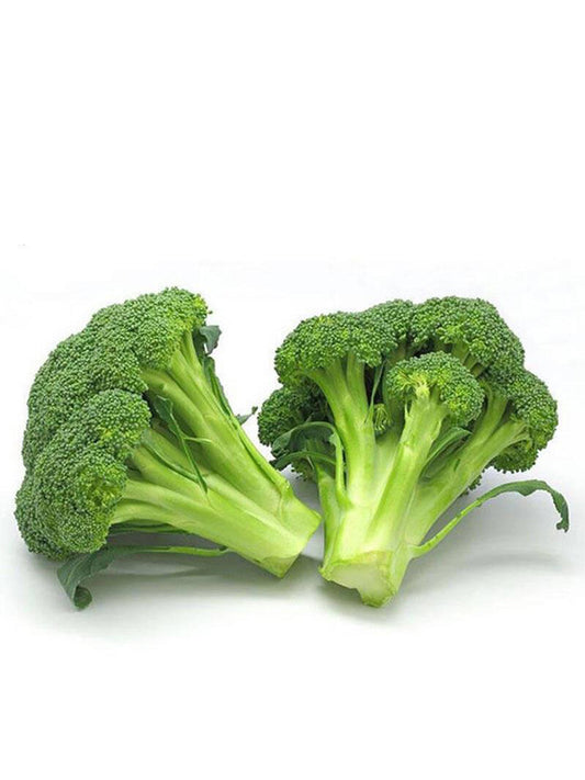 Japanese Broccoli (Brassica oleracea var. italica)