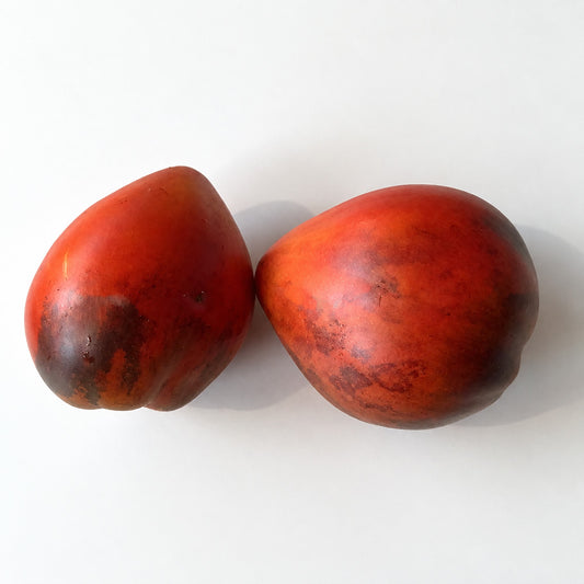 550 Vater Rhein Blue Tomato