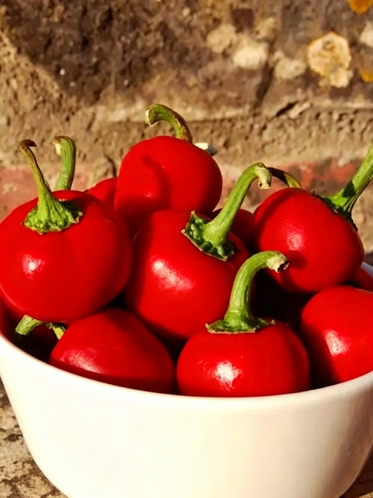 Red Hot Cherry Pepper