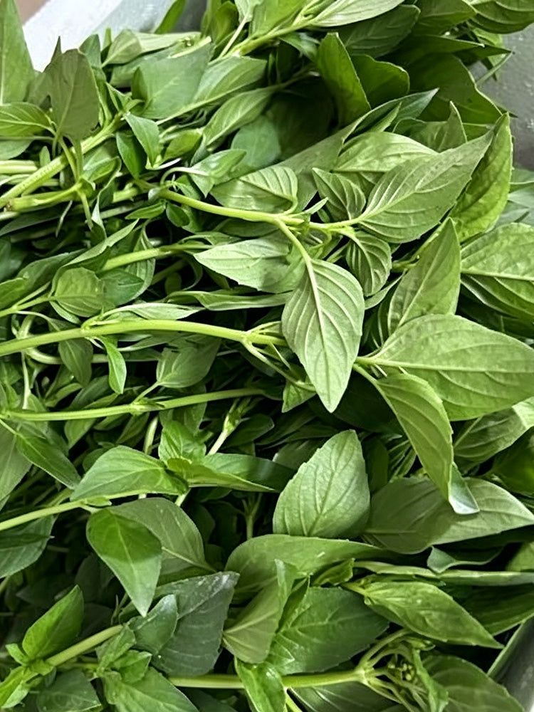 Chaozhou Jin Bu Huan Thai Basil
