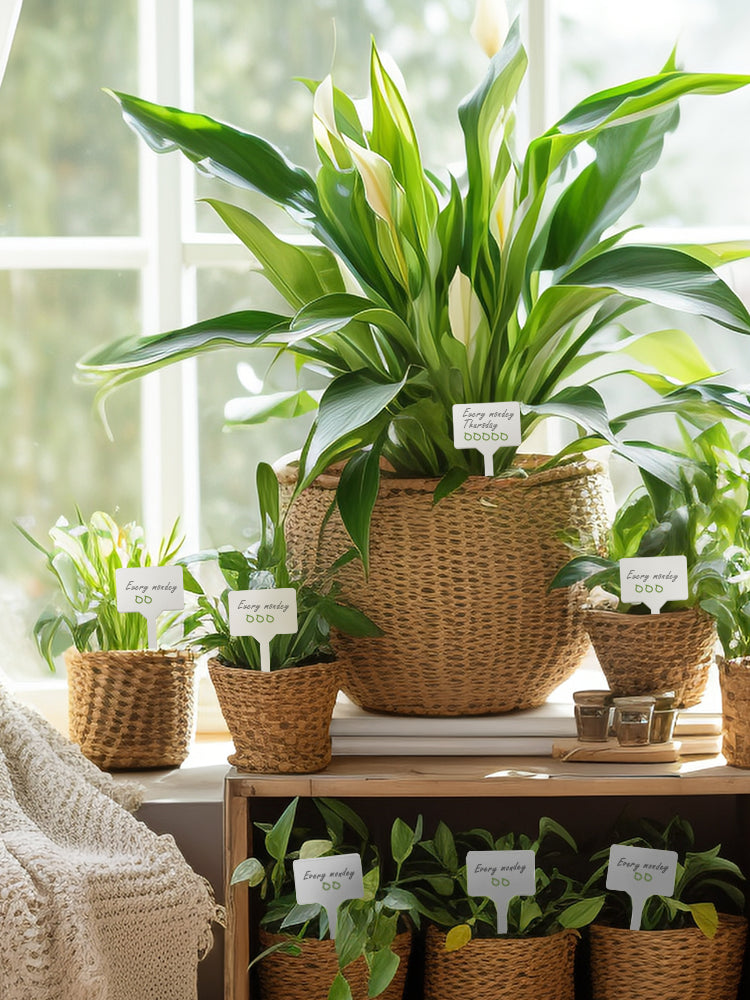 N310 T-shaped Plant Labels