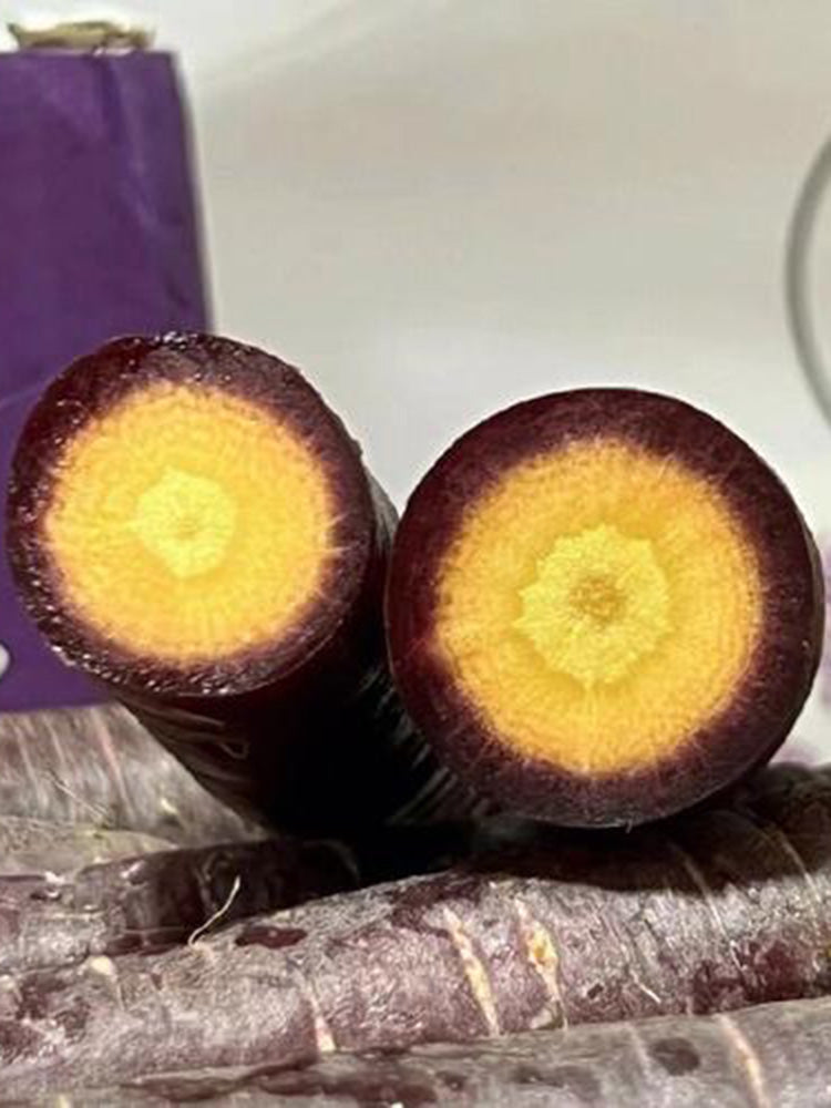 Purple Skin Yellow Flesh Carrot