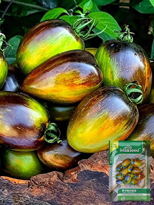 Atomic Fusion Tomato