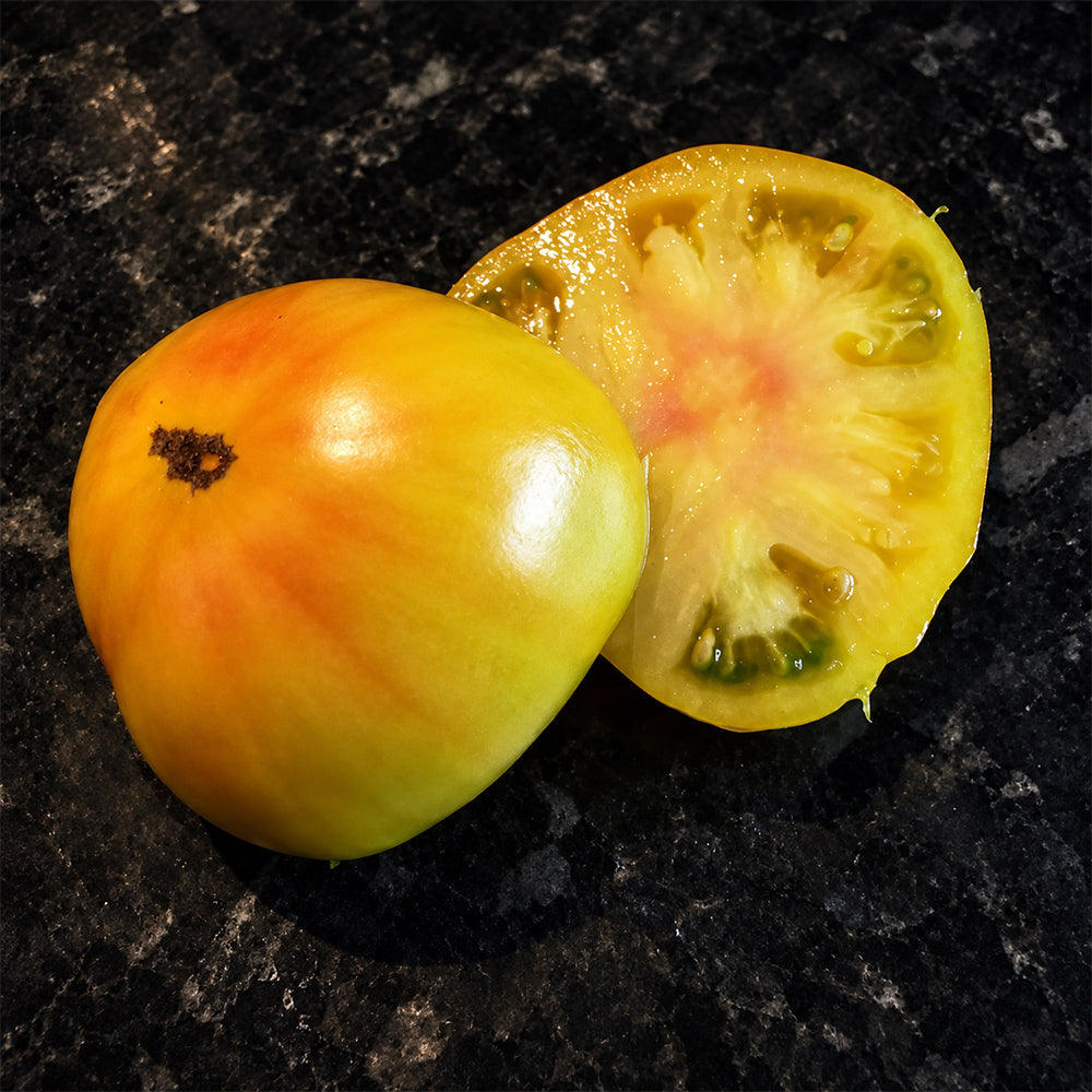 521 Yellow Kite Tomato