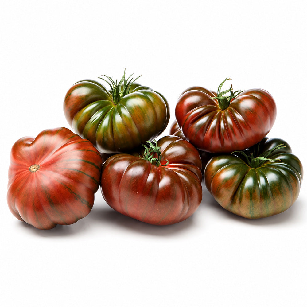 552 Adora iz RAF Tomato