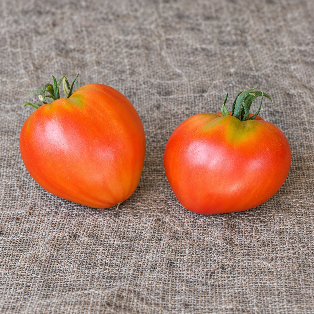 452 Dwarf Scarlet Heart Tomato