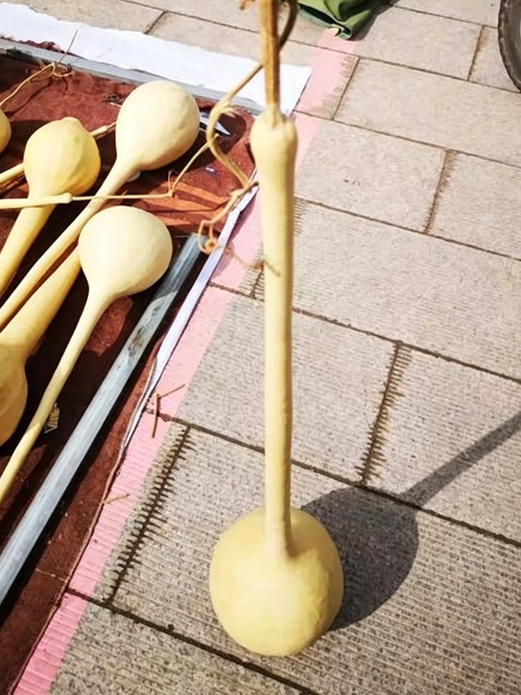 Long Handle Gourd