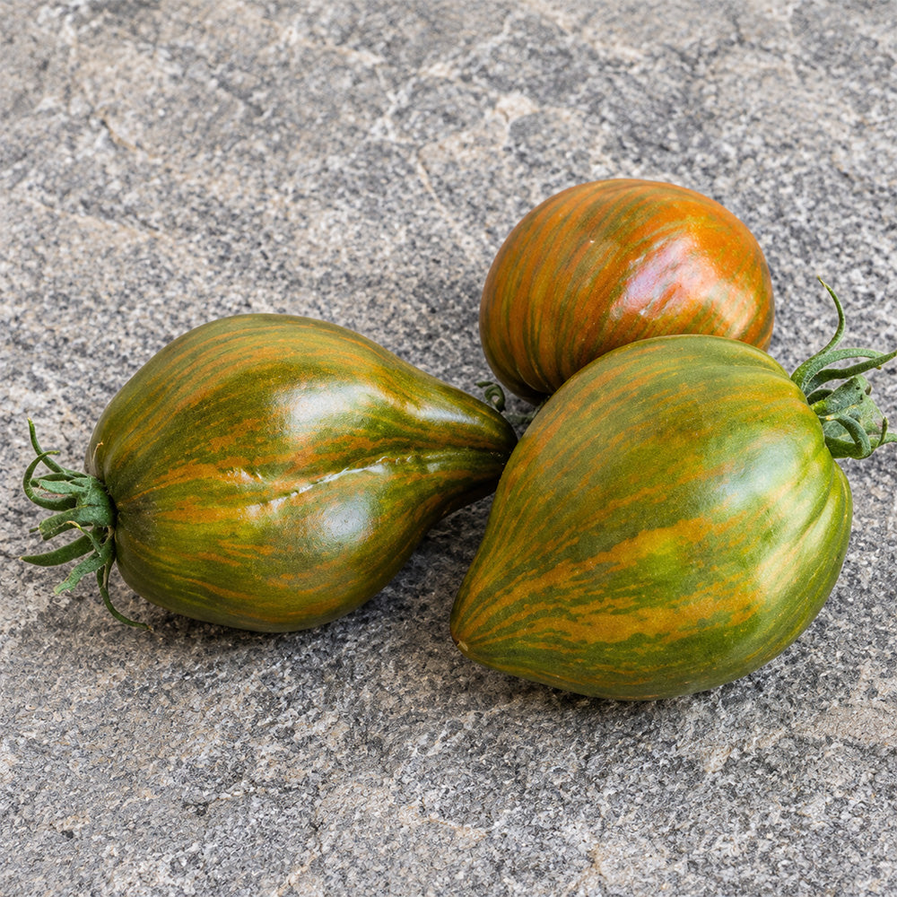 30 Marsha's Starfighter Heart Tomato
