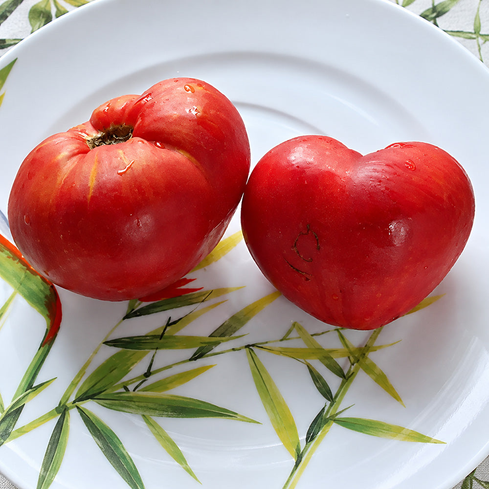 194 Boersi 40 Tomato