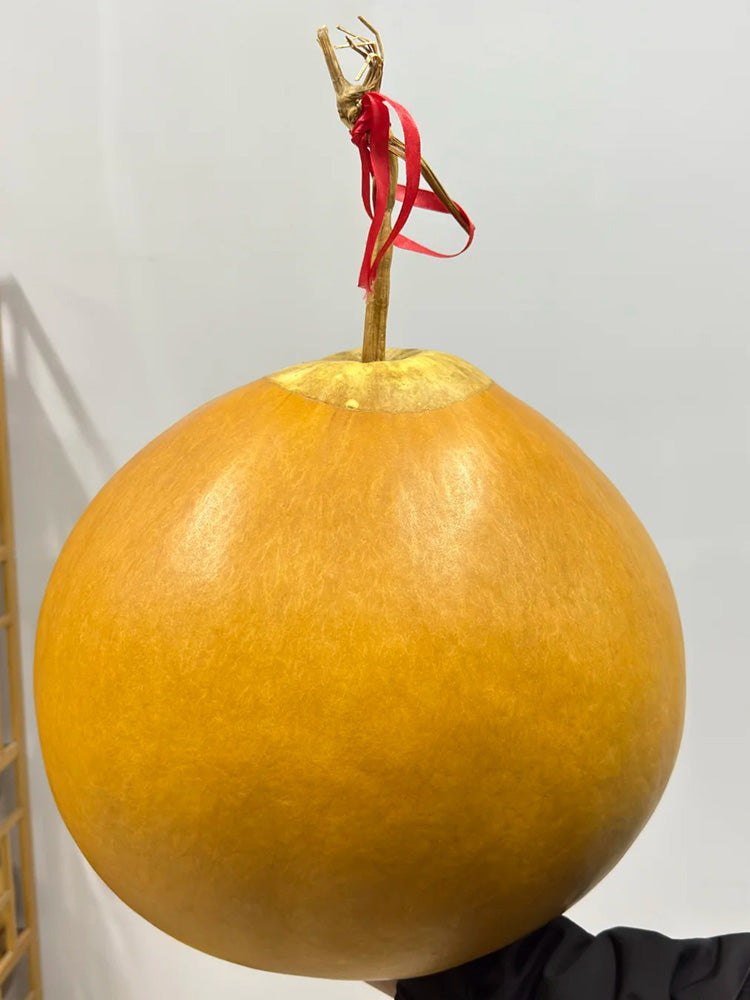 Extra Large Bottle Gourd