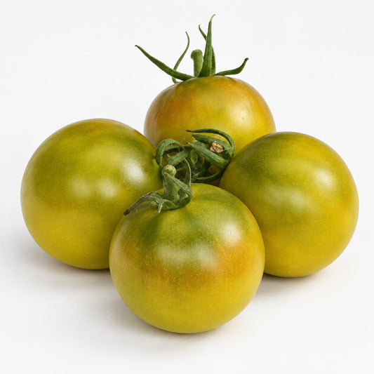 163 Green Ghost Tomato