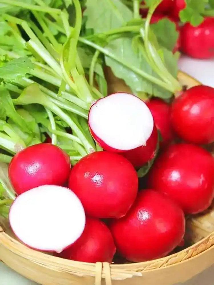 'Ailuo' Cherry Radish