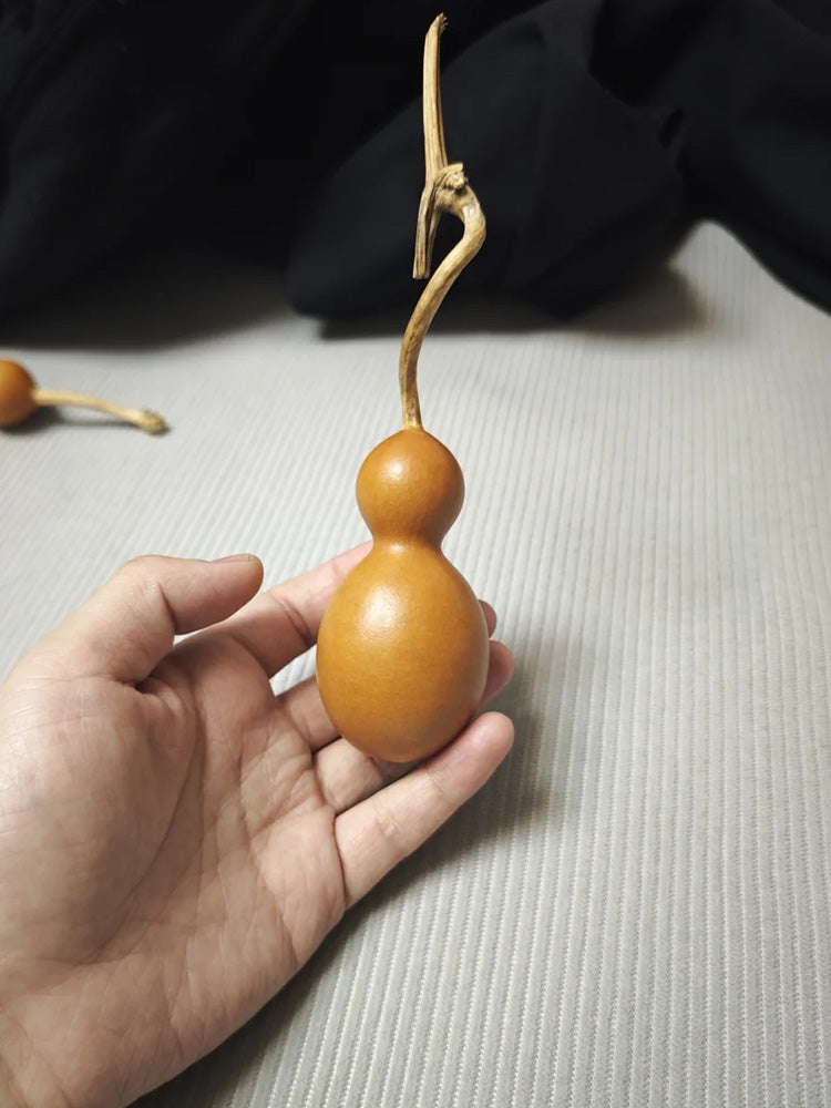Small Bottle Gourd
