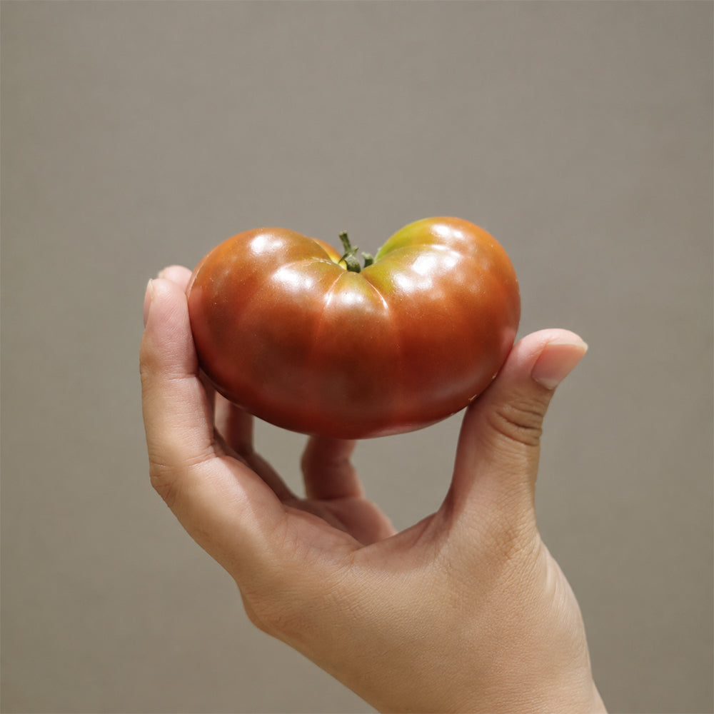 172 Dwarf King Aramis Tomato