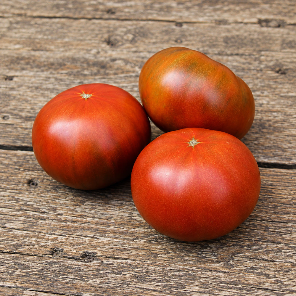 451 Dwarf Maura's Cardinal Tomato