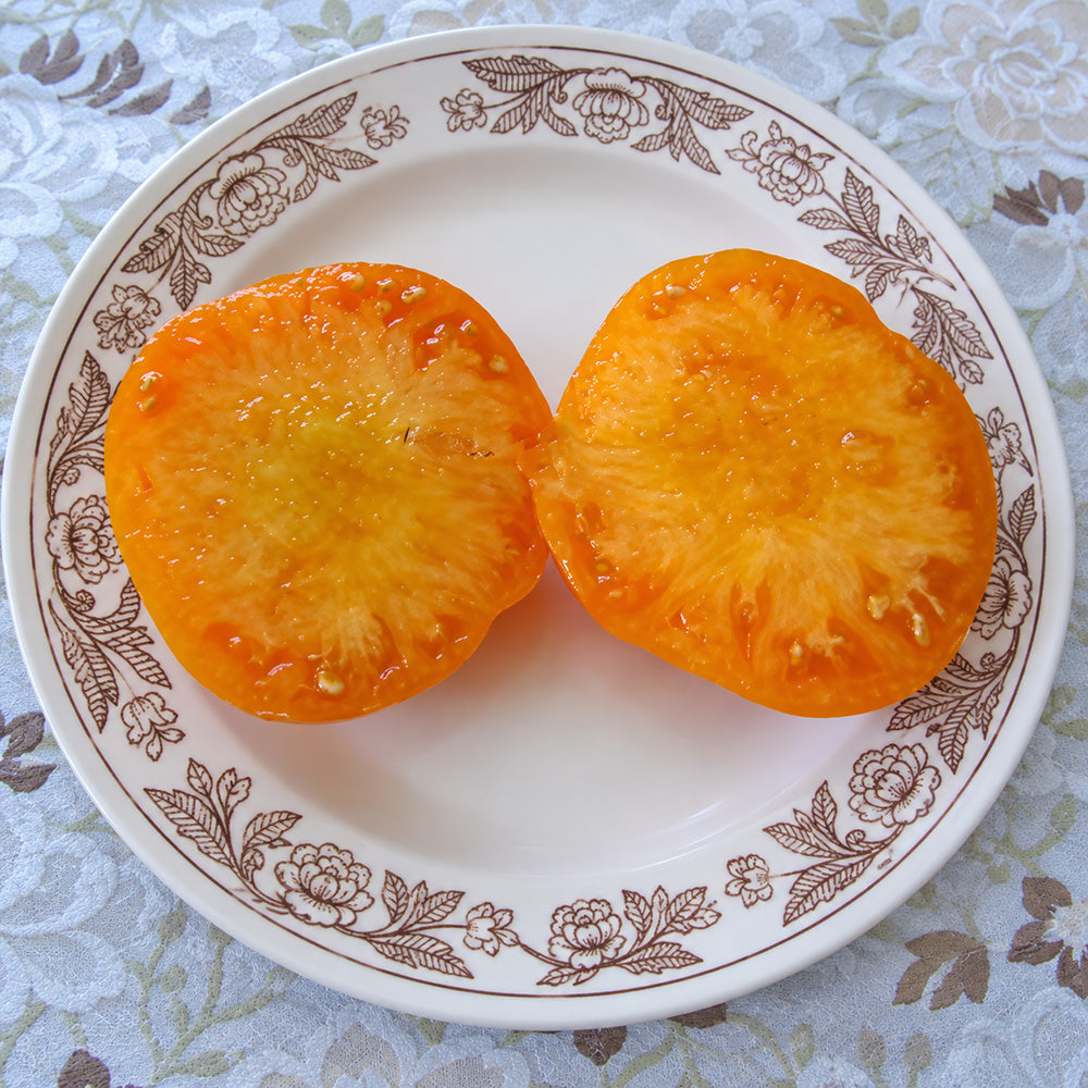 349 Queen Marbena Tomato