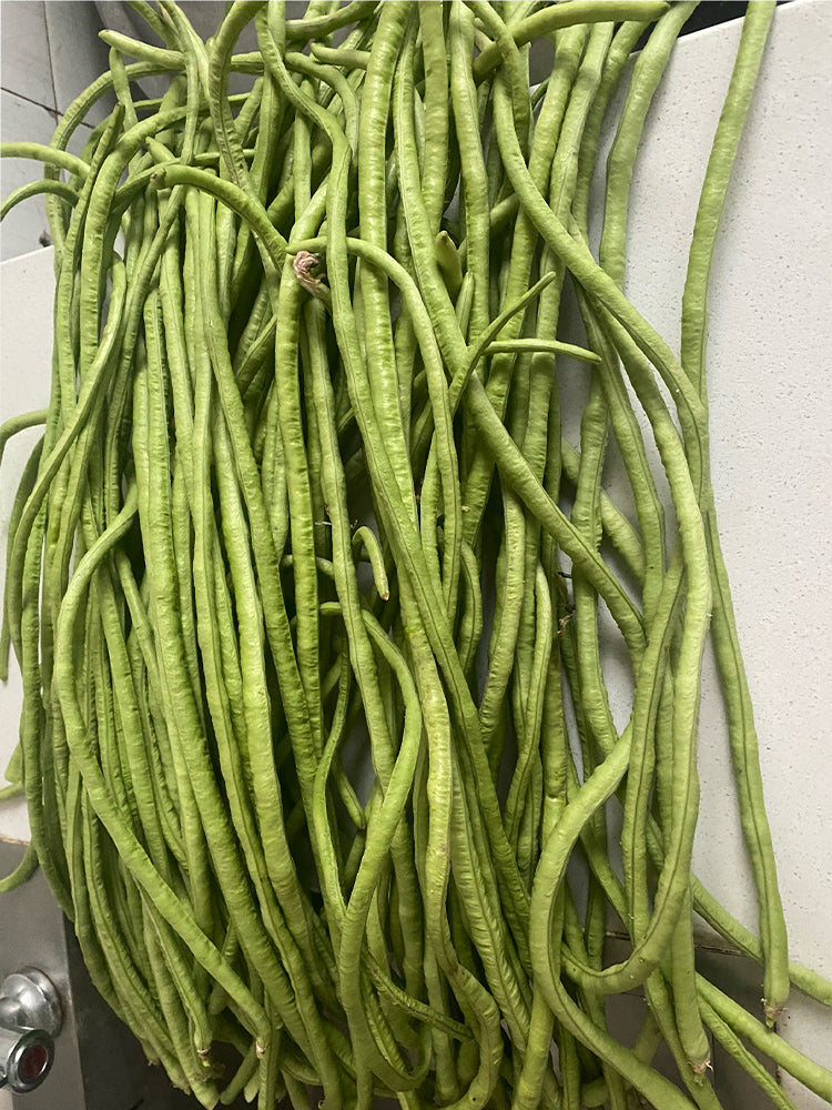 Jiemei No.6 Long Bean
