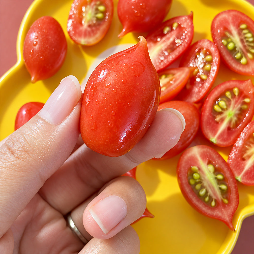 402 Mini San Marzano Tomato