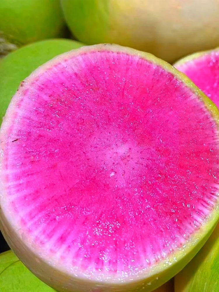 Xinlimei Radish