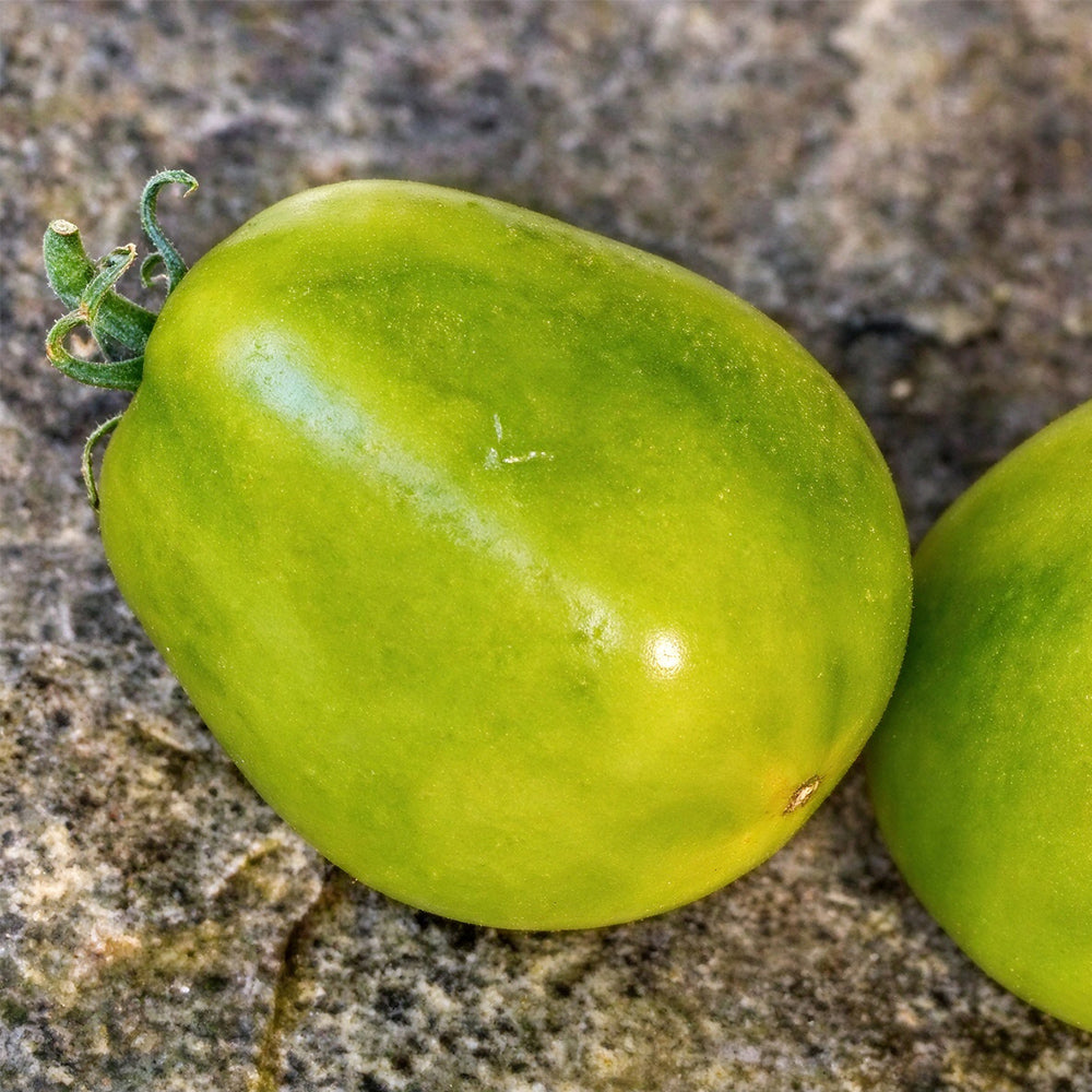 27 Queen Aliquippa Tomato