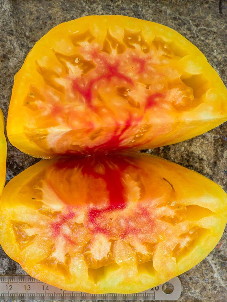 Snowflake Beefsteak Tomato