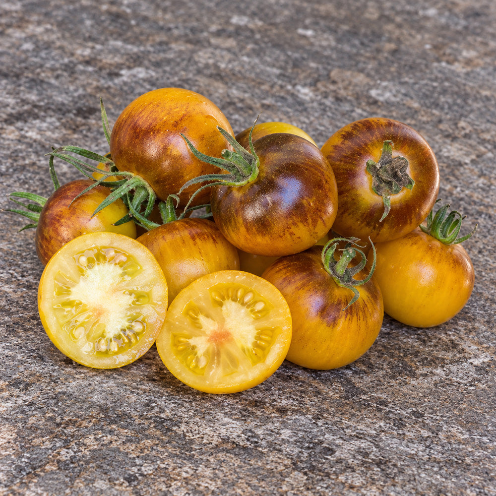 358 Edith Bernhard Tomato