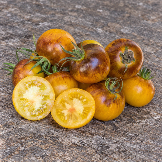 358 Edith Bernhard Tomato