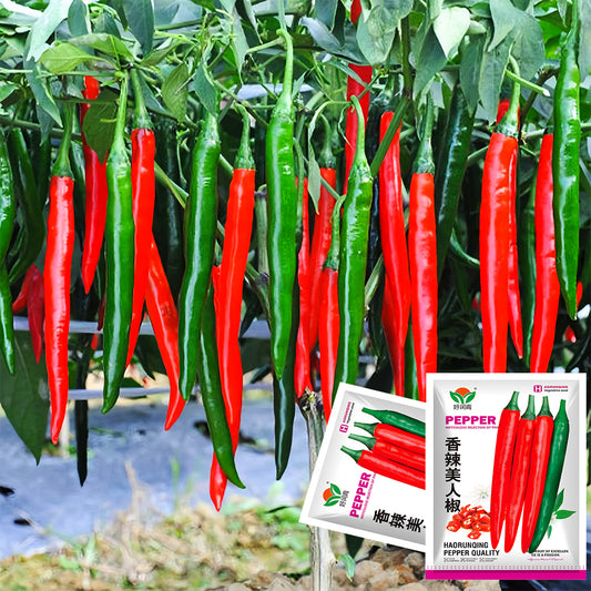Flame-kissed Delight: 5 Bags (200 Seeds/Bag) of Red Hot Chili Pepper Seeds