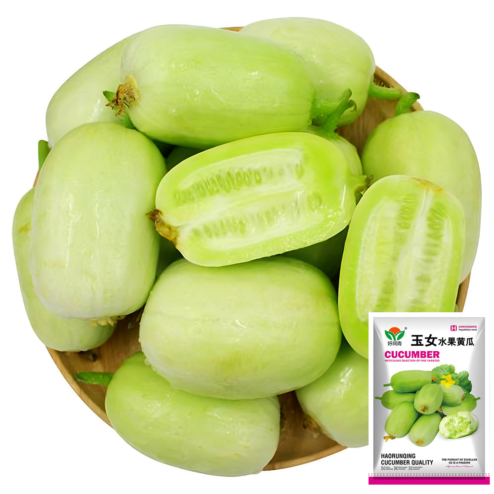 Golden Whispers Fruits: 5 Bags (10 Seeds/Bag) of Petite Creamy Thumb Cucumbers