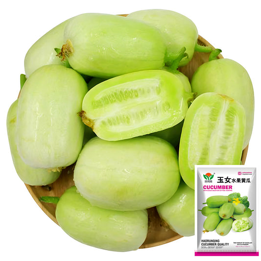Golden Whispers Fruits: 5 Bags (10 Seeds/Bag) of Petite Creamy Thumb Cucumbers