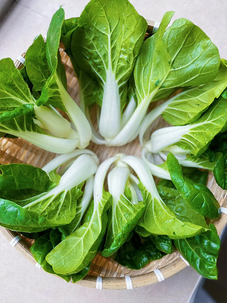 Yumeiren Baby Bok Choy