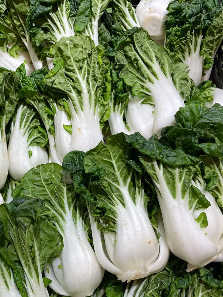 'Snowdrop No. 1' Milk Cabbage