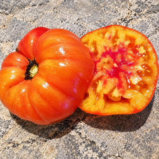 298 Anna Meyer Tomato