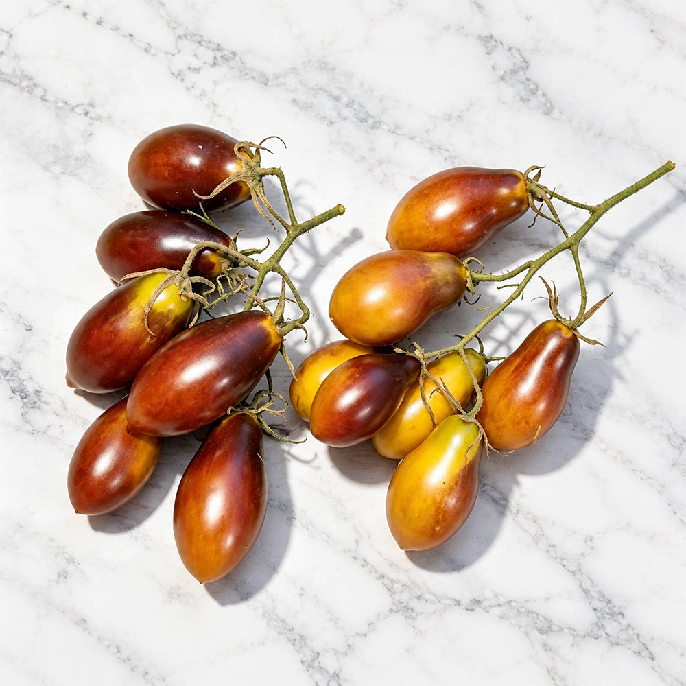 1147 Rebela's Earrings F8 Tomato