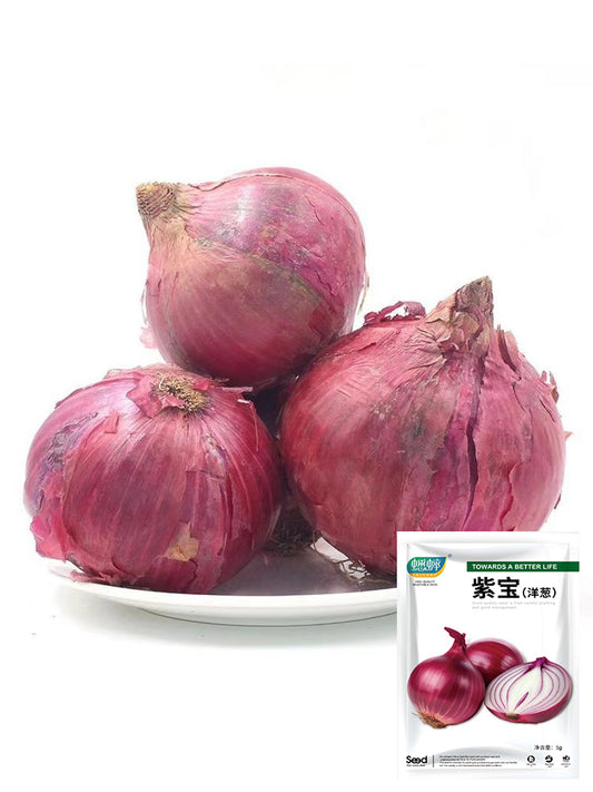 Royal Amethyst' Purple Onions (Allium cepa L.)