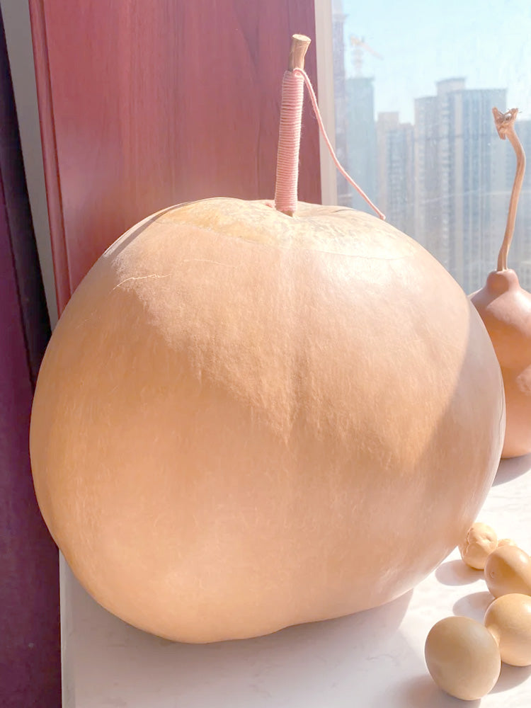 Extra Large Bottle Gourd