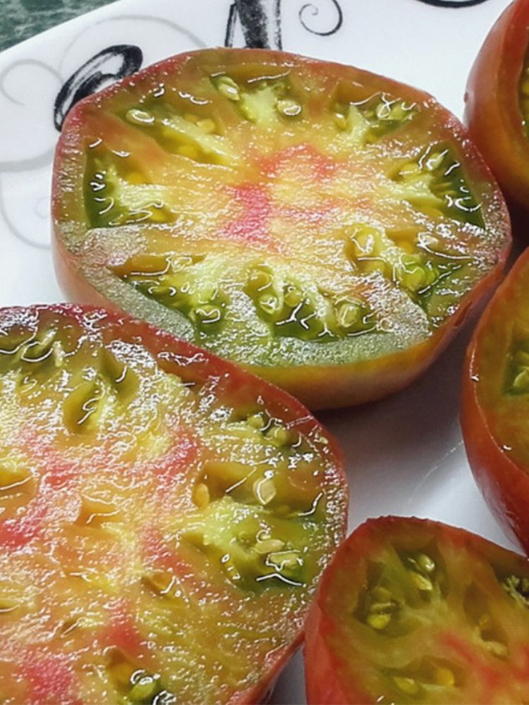 Muddy Mamba Tomato